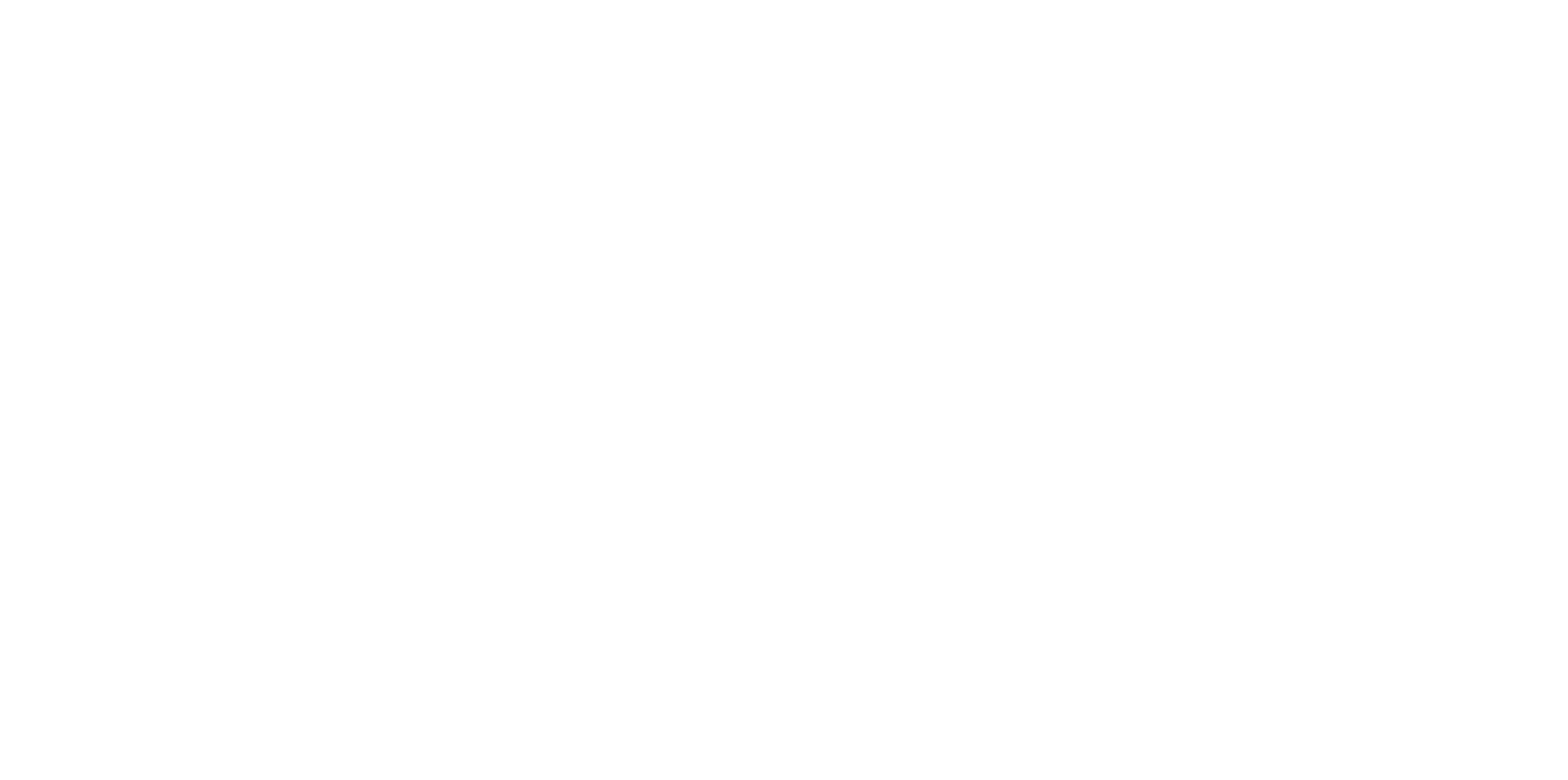 junior cargo logo